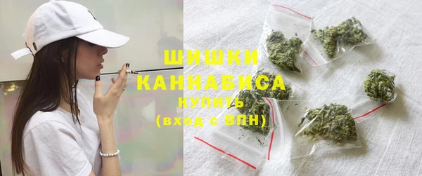 ГАЛЛЮЦИНОГЕННЫЕ ГРИБЫ Михайлов