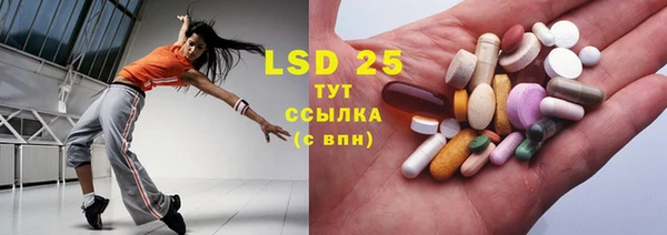 ГАЛЛЮЦИНОГЕННЫЕ ГРИБЫ Михайлов