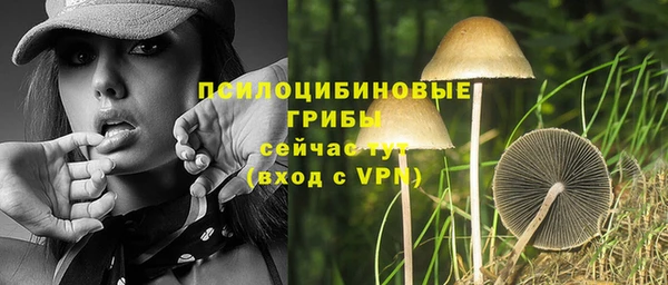 соль курить ск Медвежьегорск
