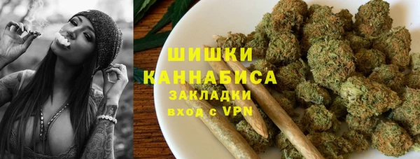 индика Лиски