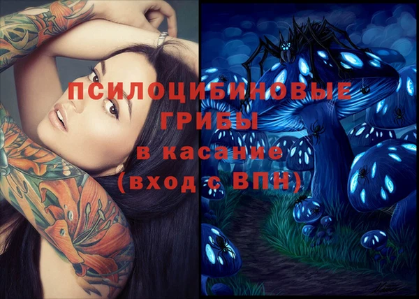 Альфа ПВП Медногорск