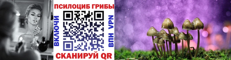 где продают наркотики Никольск гидра tor Галлюциногенные грибы MAGIC MUSHROOMS